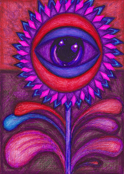 purple sunflower