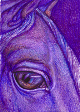 7 deadly sins _pride_the violet horse