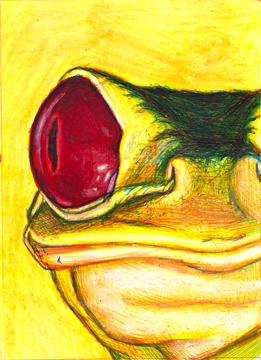 7 deadly sins _greed_the yellow frog