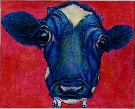 the blue cow